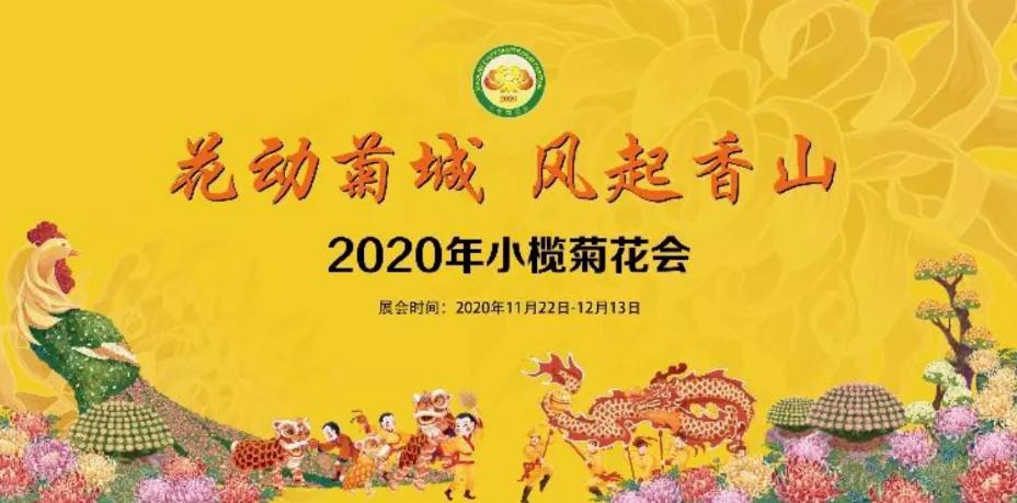2020小欖菊花會